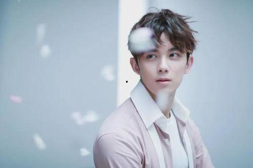 吴磊最新大爆料,独家爆料震惊众人